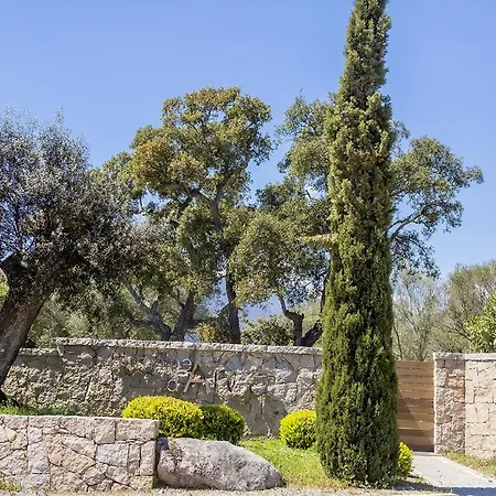 Daire Domaine D'arca - Flaubert 22 - 3 Pieces - Etage 2 - Porto-vecchio